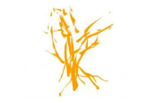 Inleiding in het boeddhisme